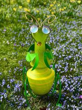 Lade das Bild in den Galerie-Viewer, Cleo