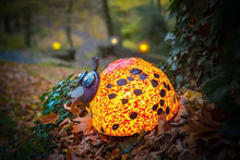 Lade das Bild in den Galerie-Viewer, Romeo