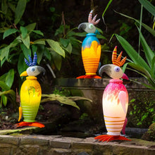 Lade das Bild in den Galerie-Viewer, TACO – Ein Kakadu mit Charisma und Lebensfreude