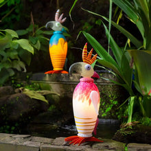 Lade das Bild in den Galerie-Viewer, TACO – Ein Kakadu mit Charisma und Lebensfreude