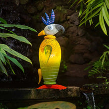 Lade das Bild in den Galerie-Viewer, TACO – Ein Kakadu mit Charisma und Lebensfreude