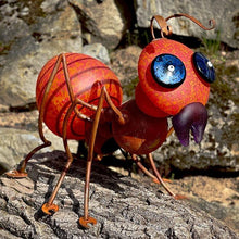 Lade das Bild in den Galerie-Viewer, Amy - Borowski