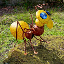 Lade das Bild in den Galerie-Viewer, Amy - Borowski