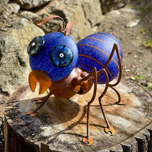 Lade das Bild in den Galerie-Viewer, Amy - Borowski