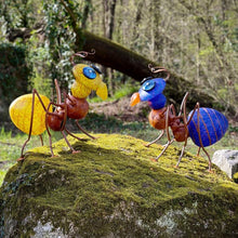 Lade das Bild in den Galerie-Viewer, Amy - Borowski