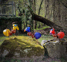 Lade das Bild in den Galerie-Viewer, Amy - Borowski