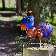 Lade das Bild in den Galerie-Viewer, Amy - Borowski