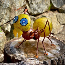 Lade das Bild in den Galerie-Viewer, Amy - Borowski