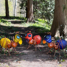 Lade das Bild in den Galerie-Viewer, Amy - Borowski