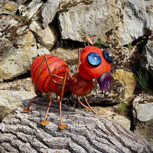 Lade das Bild in den Galerie-Viewer, Amy - Borowski