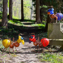 Lade das Bild in den Galerie-Viewer, Amy - Borowski