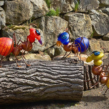 Lade das Bild in den Galerie-Viewer, Amy - Borowski