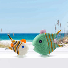 Lade das Bild in den Galerie-Viewer, Angelfish - medium - Borowski