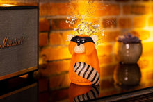 Lade das Bild in den Galerie-Viewer, BANDITO SMALL Vase - Borowski