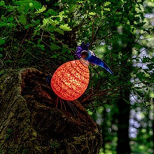 Lade das Bild in den Galerie-Viewer, Fat Gonzo - Borowski