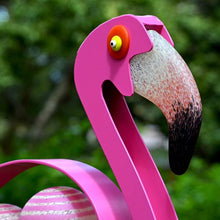 Lade das Bild in den Galerie-Viewer, Flamingo - Borowski