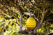 Lade das Bild in den Galerie-Viewer, Frank - Borowski