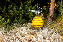 Lade das Bild in den Galerie-Viewer, Frank - Borowski