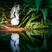 Lade das Bild in den Galerie-Viewer, HEKTOR - Schwan - Borowski