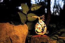 Lade das Bild in den Galerie-Viewer, Jackson - Borowski
