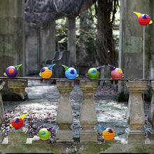 Lade das Bild in den Galerie-Viewer, Kiwi Stick - Borowski