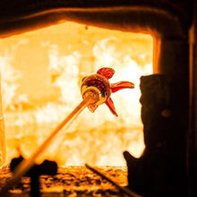 Lade das Bild in den Galerie-Viewer, Oranda - Borowski