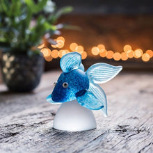 Lade das Bild in den Galerie-Viewer, Oranda - Borowski