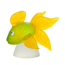 Lade das Bild in den Galerie-Viewer, Oranda - Borowski