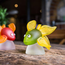 Lade das Bild in den Galerie-Viewer, Oranda - Borowski