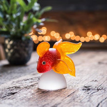 Lade das Bild in den Galerie-Viewer, Oranda - Borowski