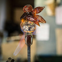 Lade das Bild in den Galerie-Viewer, Oranda - Borowski