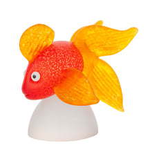 Lade das Bild in den Galerie-Viewer, Oranda - Borowski