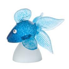 Lade das Bild in den Galerie-Viewer, Oranda - Borowski