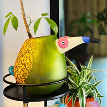 Lade das Bild in den Galerie-Viewer, Pico - Borowski