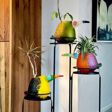 Lade das Bild in den Galerie-Viewer, Pico - Borowski