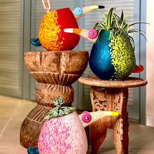 Lade das Bild in den Galerie-Viewer, Pico - Borowski