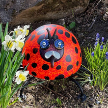 Lade das Bild in den Galerie-Viewer, Romeo - Borowski