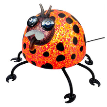 Lade das Bild in den Galerie-Viewer, Romeo - Borowski