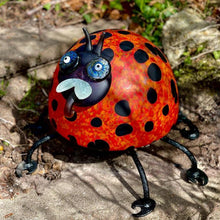 Lade das Bild in den Galerie-Viewer, Romeo - Borowski