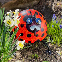 Lade das Bild in den Galerie-Viewer, Romeo - Borowski