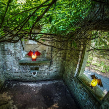 Lade das Bild in den Galerie-Viewer, Vampy - Borowski