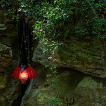 Lade das Bild in den Galerie-Viewer, Vampy - Borowski