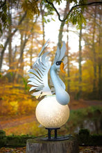 Lade das Bild in den Galerie-Viewer, HEKTOR - Schwan
