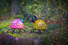 Lade das Bild in den Galerie-Viewer, Herkules Bug
